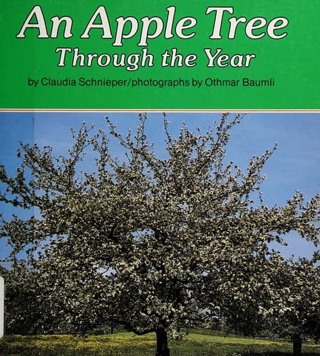 Cover of An apple tree through the year by Claudia Schnieper