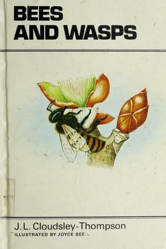 Cover of Bees & wasps by John Leonard Cloudsley-Thompson