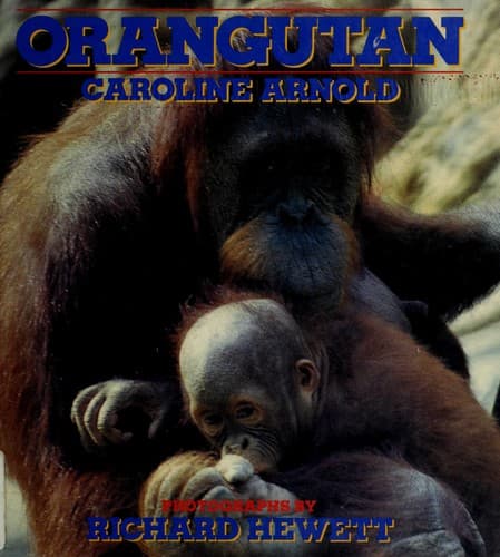 Cover of Orangutan by Caroline Arnold