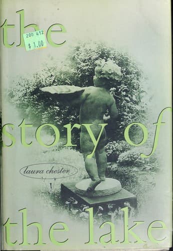 Cover of The story of the lake by Laura Chester