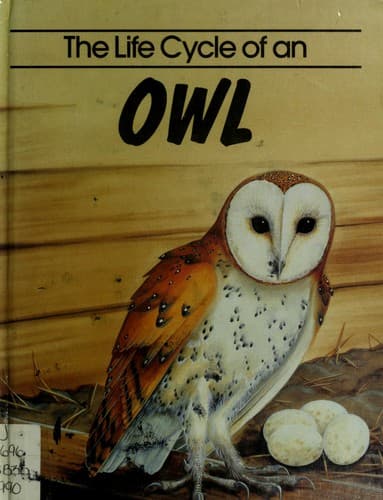 Cover of The life cycle of an owl by Jill Bailey