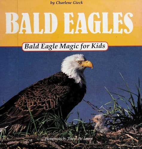 Cover of Bald eagle magic for kids by Charlene Gieck