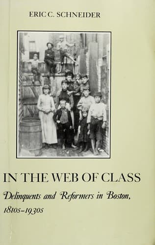 Cover of In the web of class by Eric C. Schneider