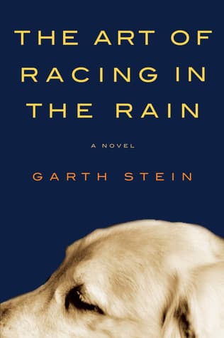 Cover of The Art of Racing in the Rain by Garth Stein