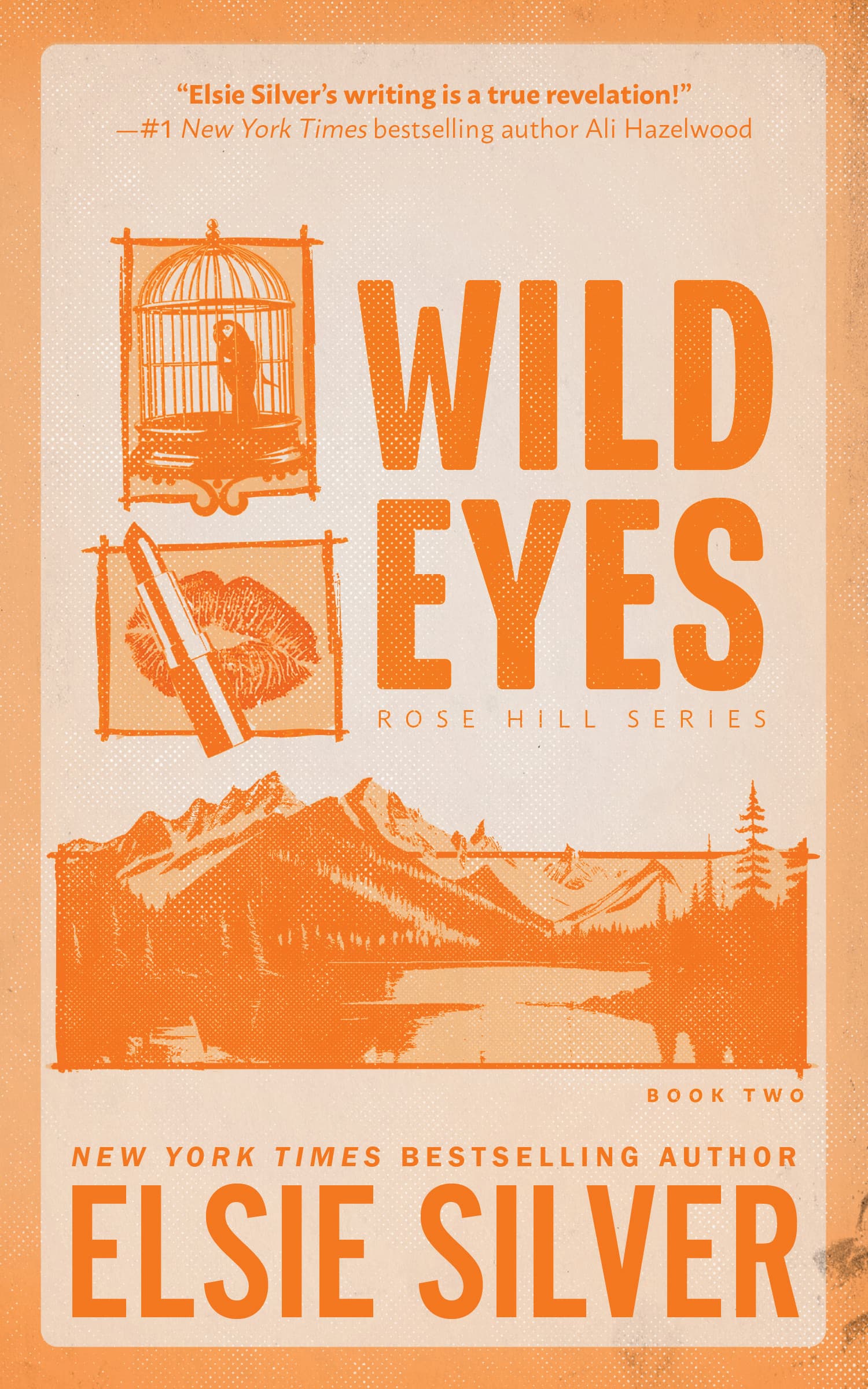 Cover of Wild Eyes by Elsie Silver