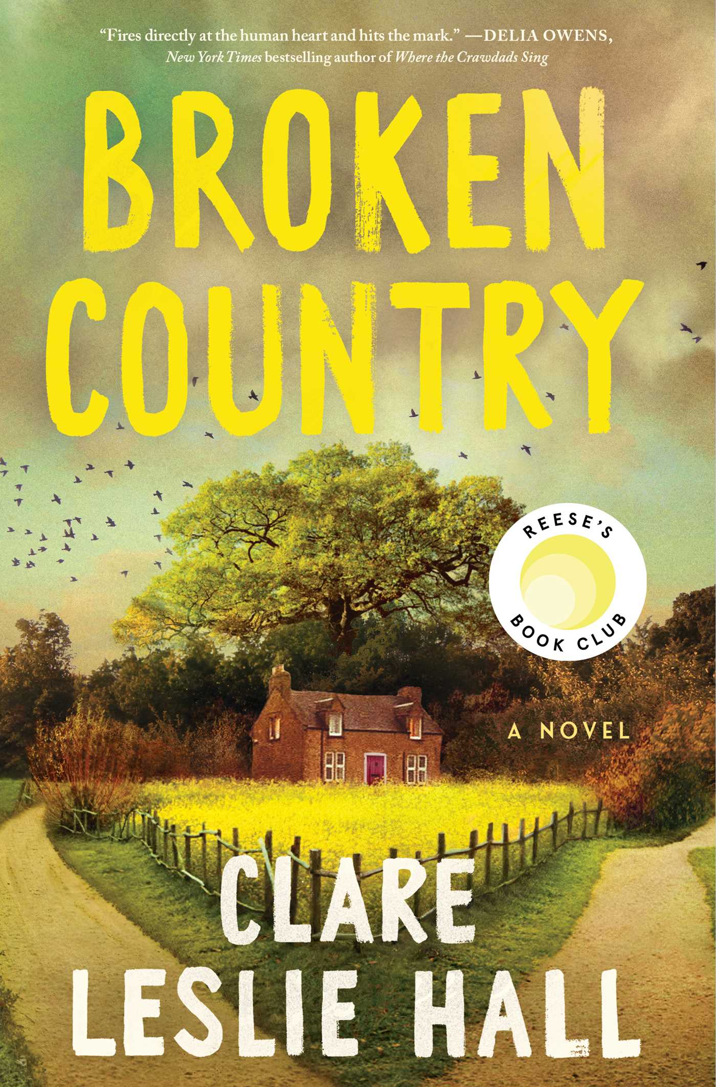 Cover of Broken Country by Clare Leslie Hall