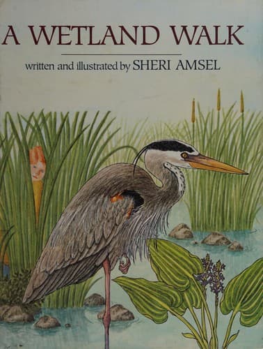 Cover of A wetland walk by Sheri Amsel