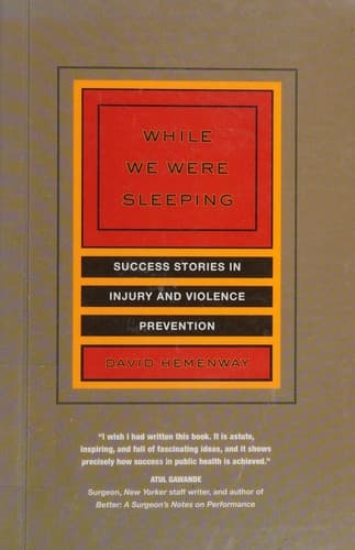 Cover of While you were sleeping by David Hemenway