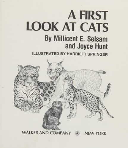 Cover of A first look at cats by Millicent E. Selsam