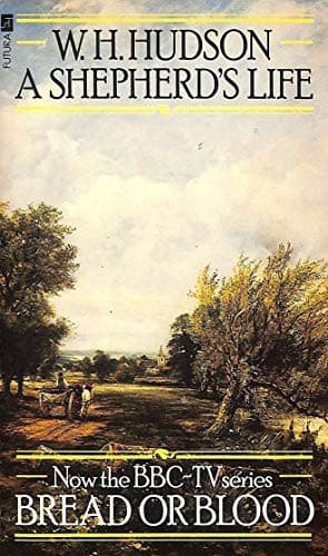 Cover of Undiplomatic dialogue by Carl Berendsen