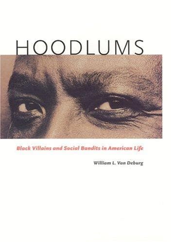 Cover of Hoodlums by William L. Van Deburg