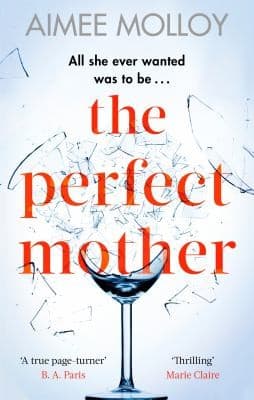 Cover of The Perfect Mother by Aimee Molloy