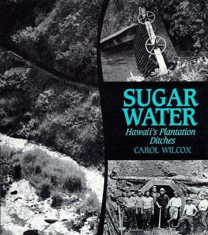 Cover of Sugar Water by Carol Wilcox