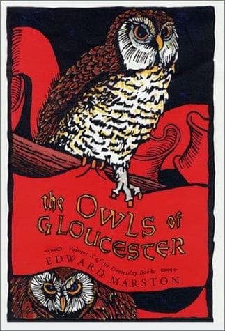 Cover of The owls of Gloucester by Keith Miles