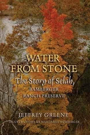 Cover of Water from Stone by Jeffrey Greene