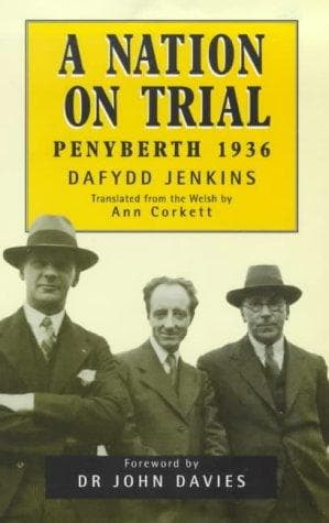 Cover of A Nation on Trial by Dafydd Jenkins