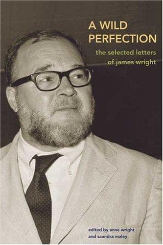 Cover of A wild perfection by James Arlington Wright