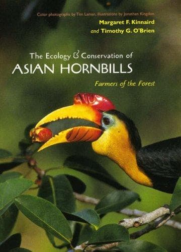 Cover of The ecology & conservation of Asian hornbills by M Kinnaird