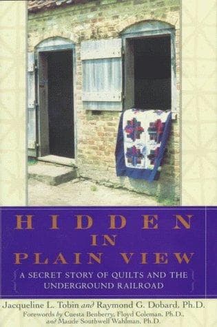 Cover of Hidden in plain view by Jacqueline Tobin