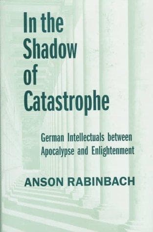 Cover of In the shadow of catastrophe by Anson Rabinbach