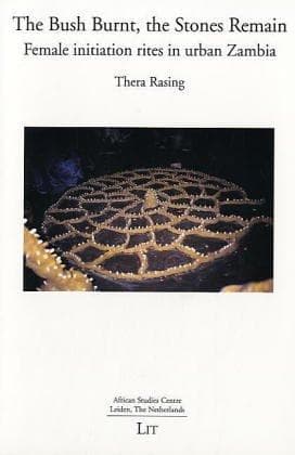 Cover of The bush burnt, the stones remain by Thera Rasing