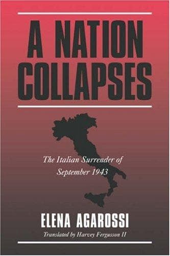 Cover of A nation collapses by Elena Aga Rossi