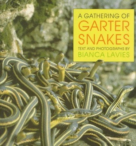 Cover of A gathering of garter snakes by Bianca Lavies