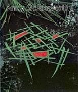Cover of Andy Goldsworthy by Andy Goldsworthy