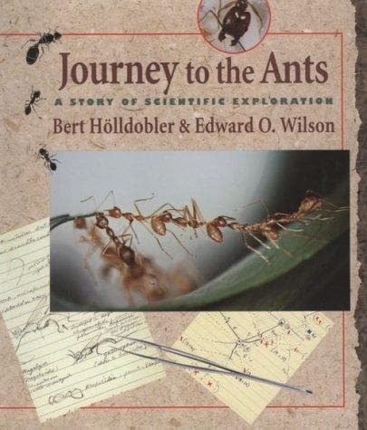 Cover of Journey to the ants by Bert Hölldobler