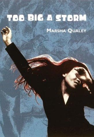 Cover of Too big a storm by Marsha Qualey