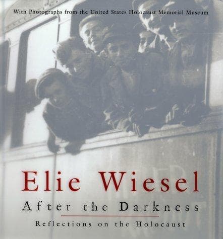 Cover of After the darkness by Elie Wiesel