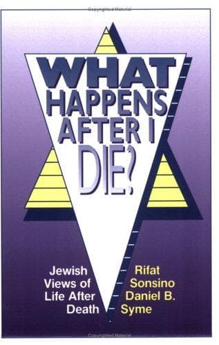 Cover of What happens after I die? by Rifat Sonsino
