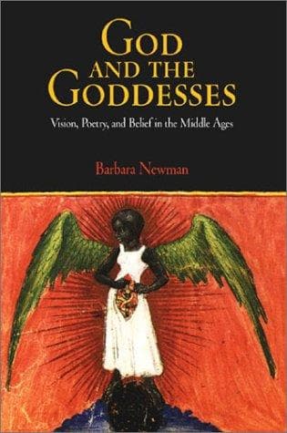 Cover of God and the goddesses by Barbara Newman