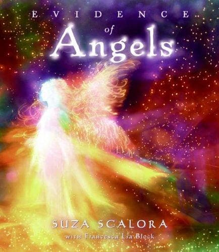 Cover of Evidence of angels by Suza Scalora