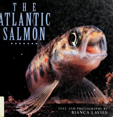 Cover of The Atlantic salmon by Bianca Lavies