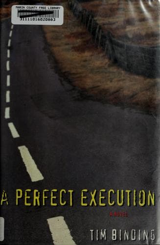 Cover of A perfect execution by Tim Binding