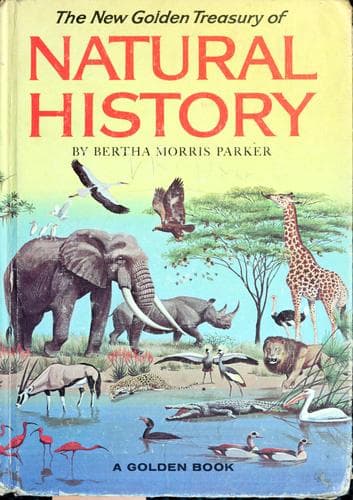 Cover of The New Golden Treasury of Natural History by Bertha Morris Parker