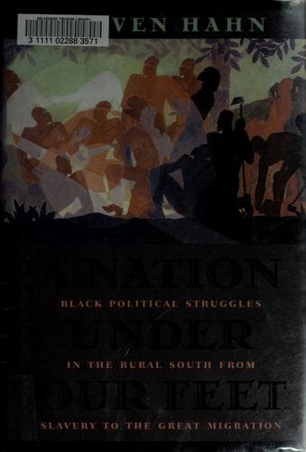 Cover of A nation under our feet by Steven Hahn