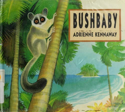 Cover of Bushbaby by Adrienne Kennaway