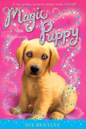 Cover of A new beginning by Sue Bentley