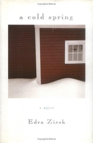 Cover of A cold spring by Edra Ziesk