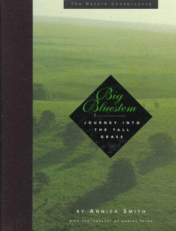 Cover of Big Bluestem by Annick Smith