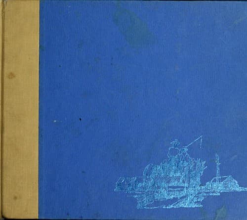 Cover of The best town in the world by Byrd Baylor