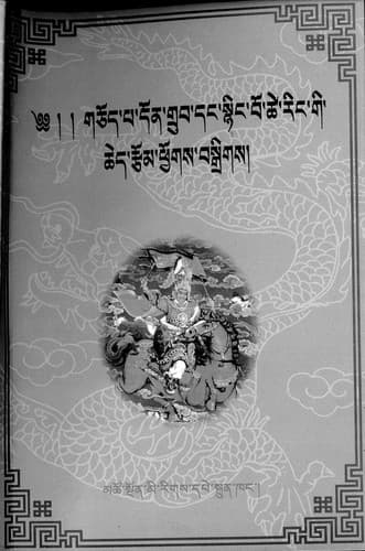 Cover of Gcod-pa Don-grub daṅ Sñiṅ-bo-tshe-riṅ gi ched rtsom phyogs bsgrigs by Don-grub