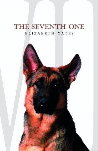 Cover of The seventh one by Elizabeth Yates