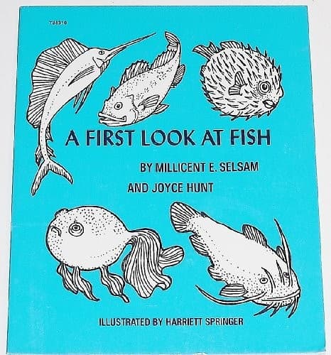 Cover of A first look at fish by Millicent E. Selsam