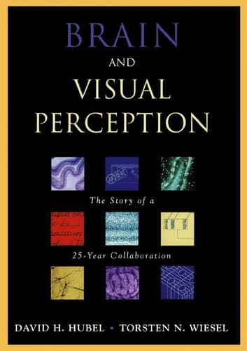 Cover of Brain and visual perception by David H Hubel