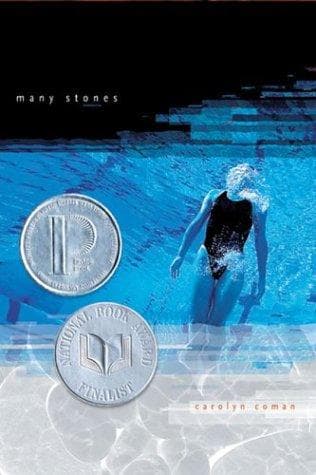 Cover of Many Stones by Carolyn Coman