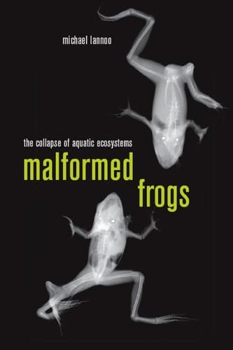 Cover of Malformed frogs by Michael J. Lannoo