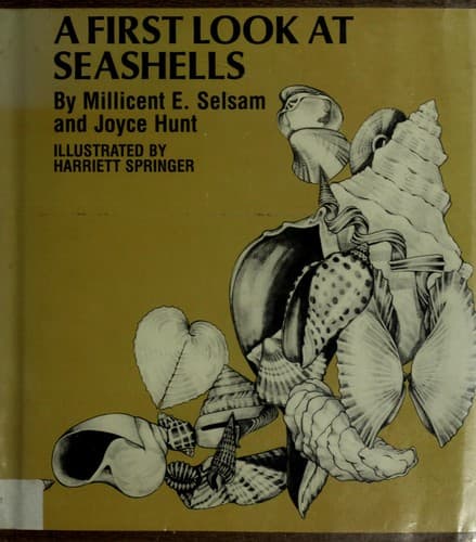 Cover of A first look at seashells by Millicent E. Selsam